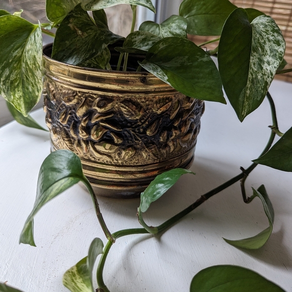 COPY - Vintage Floral Brass Plant Holder - Picture 2 of 10